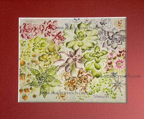 "Kaleidoscope of Succulents"  11x14 matted art print