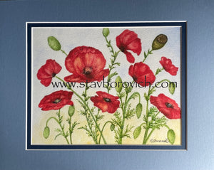 "Poppies" 11x14 matted art print